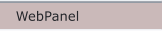 WebPanel