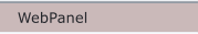 WebPanel