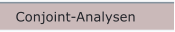 Conjoint-Analysen