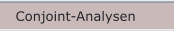 Conjoint-Analysen
